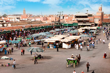 Marrakech Guided Day Trip from Casablanca: Djemaa el-Fna Square and Bahia Palace