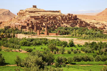 Ouarzazate Day Tour including Lunch from Marrakech