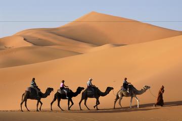 Sahara Desert 3-Day Tour from Marrakech: Ouarzazate, Mhamid Desert and Erfoud
