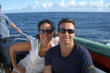 Glow Worm Sunset Cruise from Providenciales