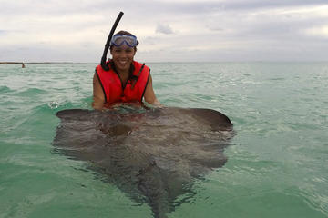 Private Snorkeling and Stingray Adventure