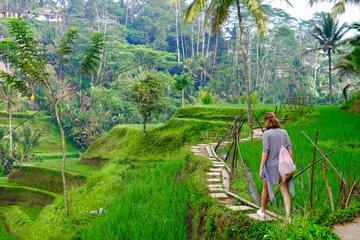 PRIVATE UBUD TOUR : TOP DESTINATIONS