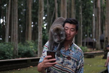 UBUD TOUR : INCLUDE MONKEY FOREST AND RICE TERRACE