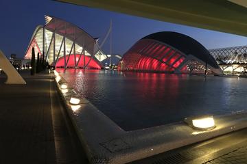 Valencia City of Arts and Sciences and Seaport Segway Night Tour