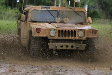 Kuranda Rainforest Night Adventure Tour by Hummer