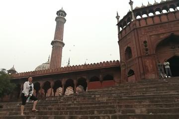 Explore Unseen Old Delhi on Bicycle