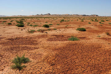 Viaggio di 7 giorni nel deserto del Gobi