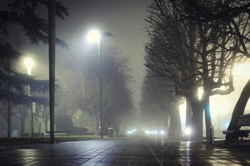 Savannah Small-Group Ghost Tour by Bus