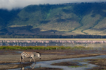 10 Days Northern Tanzania Safari
