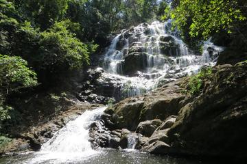 3-Day Hiking tour at Udzungwa Mountains National park from Dar-Es-Salaam