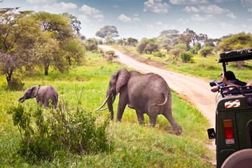 3 Day Safari tour to Ruaha National Park from Dar es Salaam