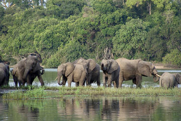 3 Day Safari tour to Selous Game Reserve from Dar es salaam