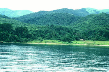 4-Day Chimpanzee Trekking Tour at Gombe Stream from Arusha