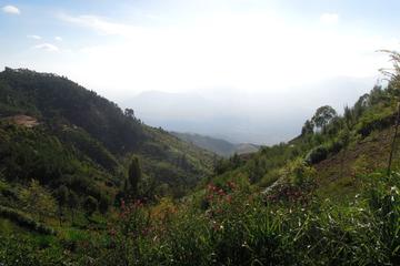 4-Day hiking tour to Usambara mountains in Lushoto
