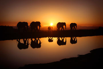 5-Day Safari tour to Serengeti & Lake Manyara national parks from Arusha