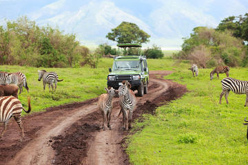 6-Day Safari to Southern Tanzania from Dar-Es-Salaam