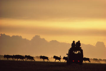 7-Day Safari to Ngorongoro, Serengeti and Lake Manyara from Arusha