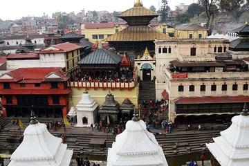 Half day City Tour 4 hrs (Buddha Stupa and Pasupatinath Temple)