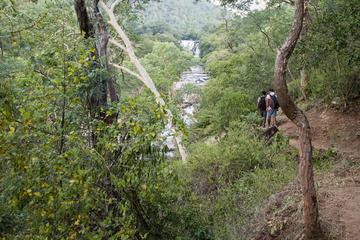 Munnar: A Day Trek and Lunch