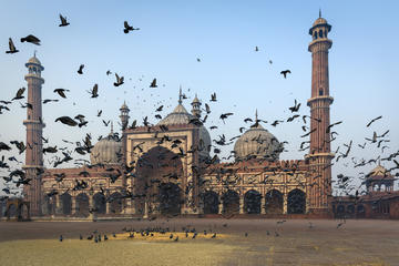 Old Delhi City Experience with Rickshaw Ride