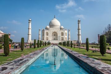 Stones Set in History: A Tour of Taj Mahal and Agra Fort