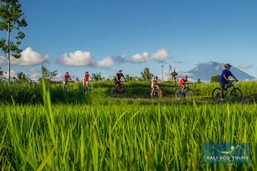 Bali Eco & Educational Cycling Tour