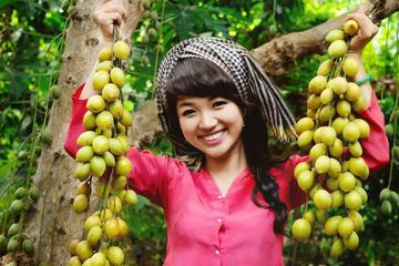 10Days - Vietnam Tours