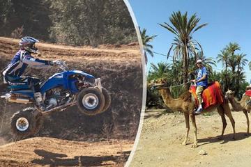 Half Day Camel Ride and Quad Bike in the Palmeraie
