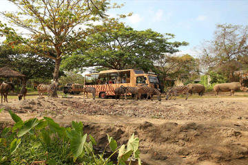 Full Day Tour to Bali Safari Marine Park and Ubud Sighseeing