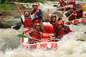 White Water Rafting including Sightseeing to the Temple and Rice Terrace