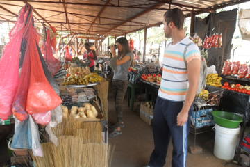 City Tour and Home Hosted Dinner In Chinotimba