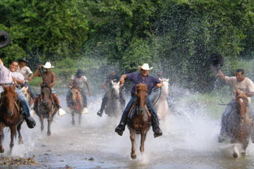 Half-Day Mountain and River Horseback Riding in Punta Cana