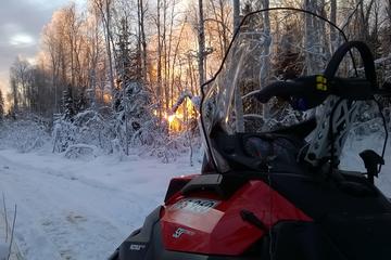 Snowsleigh Forest Safari