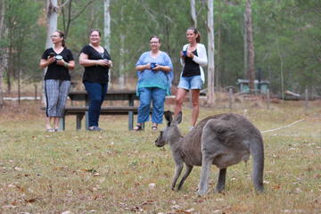 3-Day Great Camping Adventures Kangaroos Abseiling Hiking Aboriginal Experience
