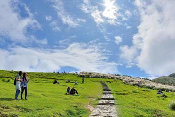 Hike Through Beautiful Landscapes In Taiwan's Capital City (3 people or less)