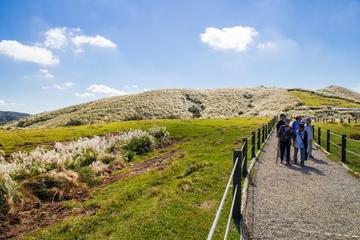 Hike Through Beautiful Landscapes In Taiwan's Capital City (4-7people)
