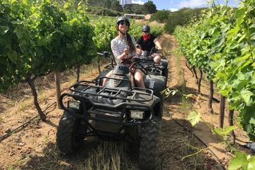 The 10 Best Stellenbosch Tours, Excursions & Activities 2019