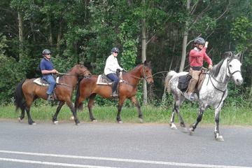 Half Day Wine Tasting Horse Trail