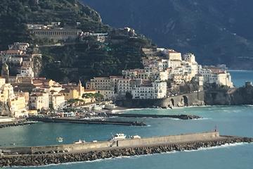 Amalfi Coast Shore Excursions pompeii with tour guide