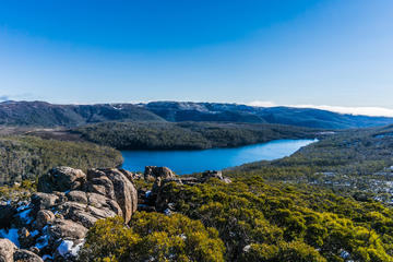 Mount Field National Park Wildlife and Nature Day Trip from Hobart with Lunch