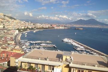Day Trip from Naples to Mt Vesuvius & Pompeii