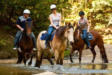 Horse Riding Marmaris