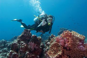 Scuba Diving