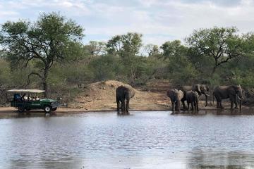 4 Day Budget Kruger National Park Safari