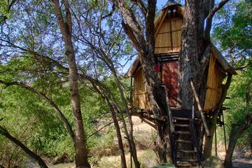 4 Day Lodge and Treehouse Kruger National Park Safari