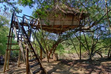 6 Day Lodge and Treehouse Kruger National Park Safari
