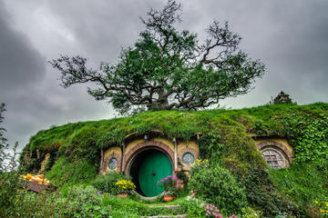 Waitomo and Hobbiton Movie Set Day Tour
