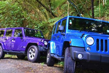 4-Hour Bay of Islands Private Jeep Forest Tour