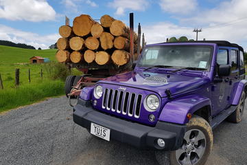 5-Hour Bay of Islands Private Jeep Expedition