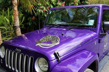 Half-Day Bay of Islands Private Jeep Art Safari